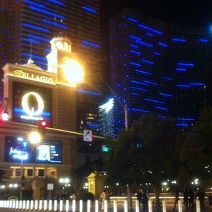 Meet your Posher, Albert